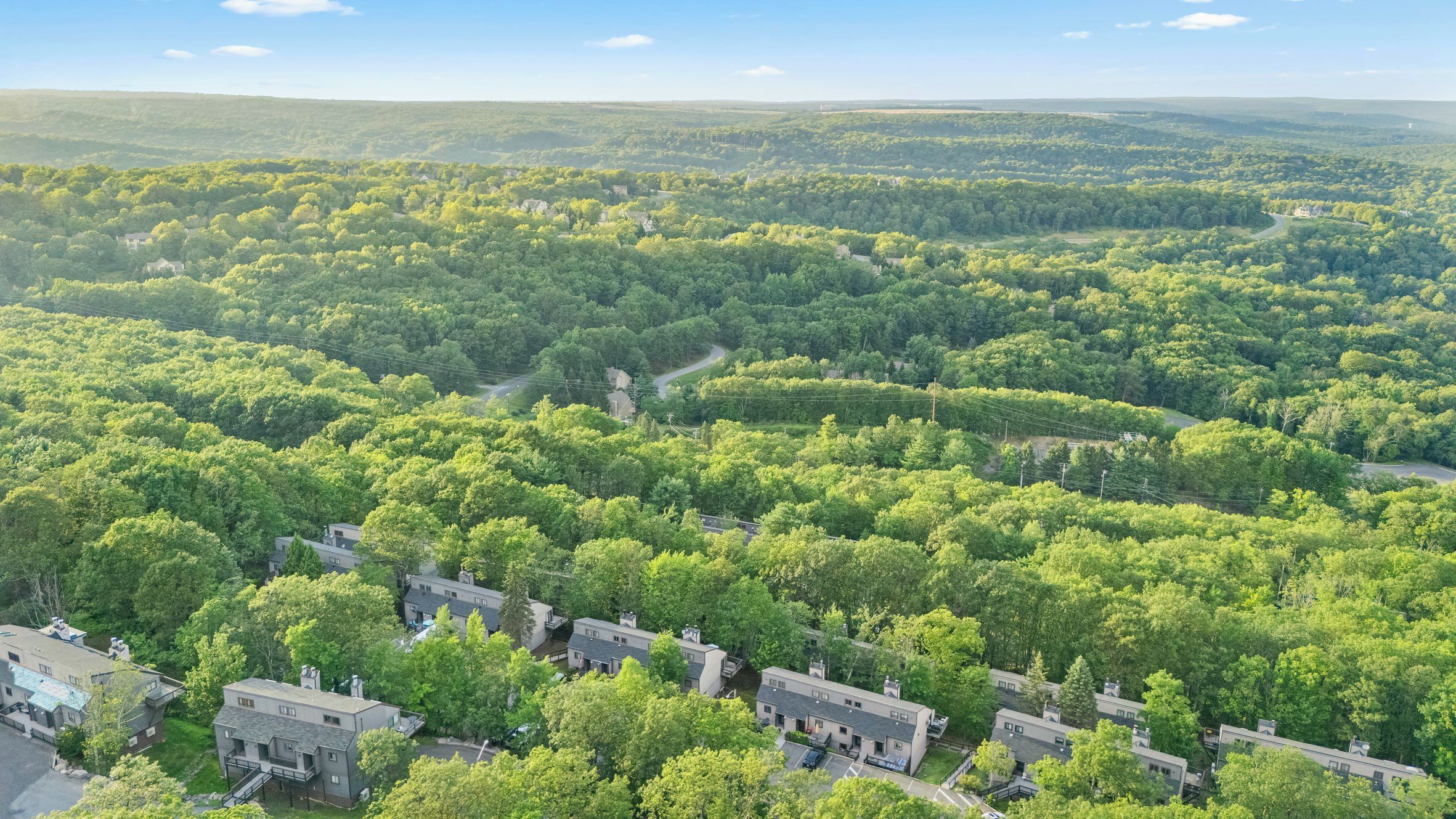 A residential area with houses surrounded by dense forest, a winding road, and a distant view of a larger town.