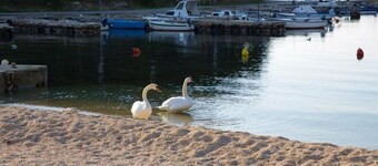 Charming Apartments Dokoza Drage - Two Bedroom Apartment (ground floor)