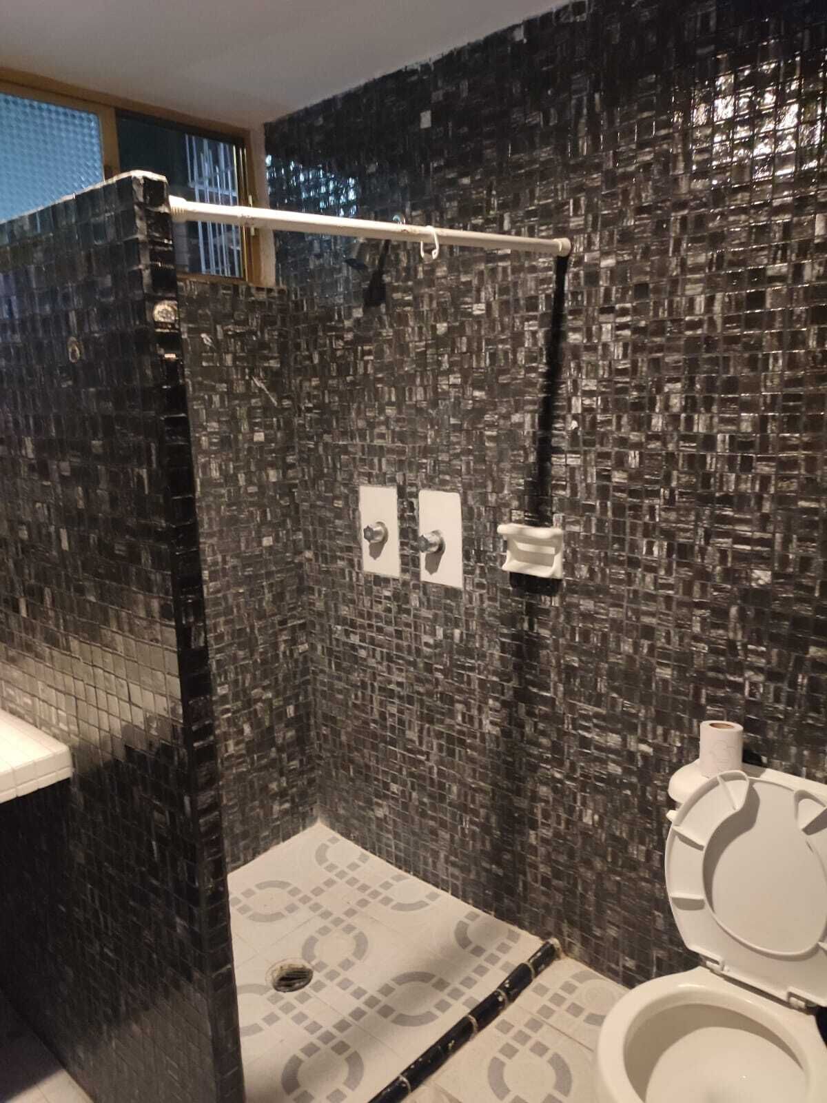 A bathroom with a shower area and a toilet.