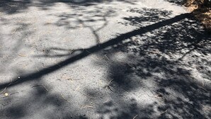 Une petite cabane avec un garage, entourée d’arbres et bordée d’une allée en gravier.