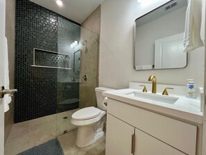 Shower, hair dryer, towels