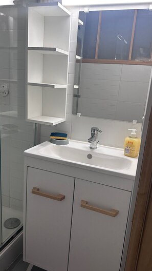 Regadera, secadora de cabello, toallas, papel de baño 