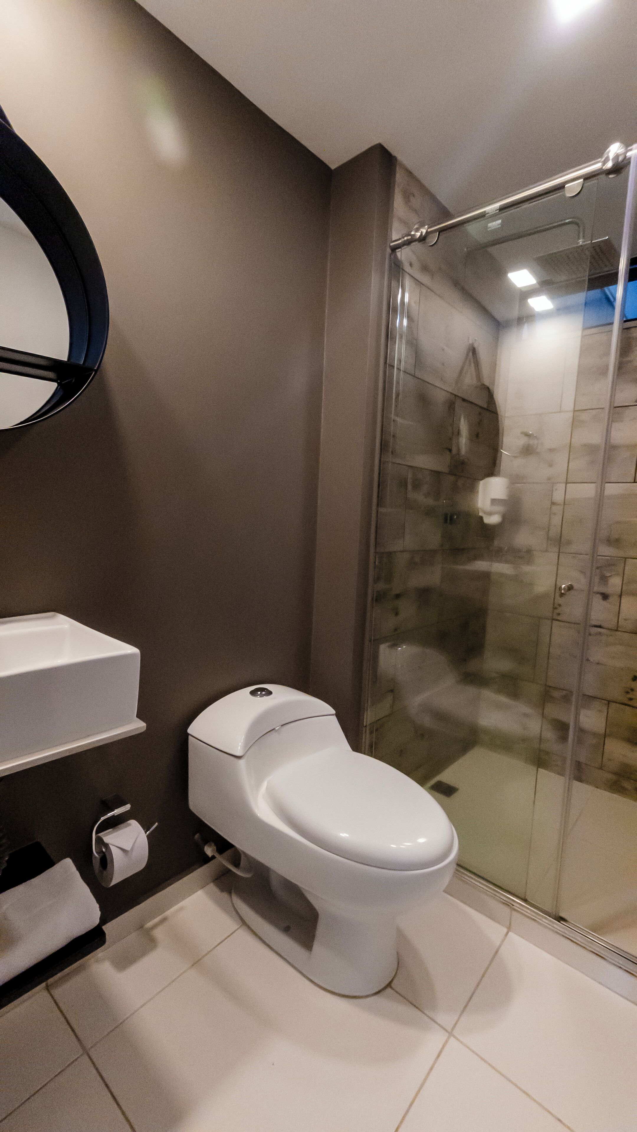 A modern bathroom with a toilet, a glass shower enclosure, and a sink with a mirror above it.