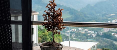 Dúplex, balcó, vistes a la ciutat | Terrassa o pati