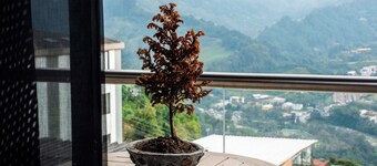 The Coffee Club Hotel