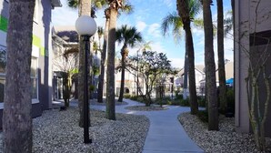 A pathway lined with palm trees and white pebbles, leading to a building with a modern architectural style.