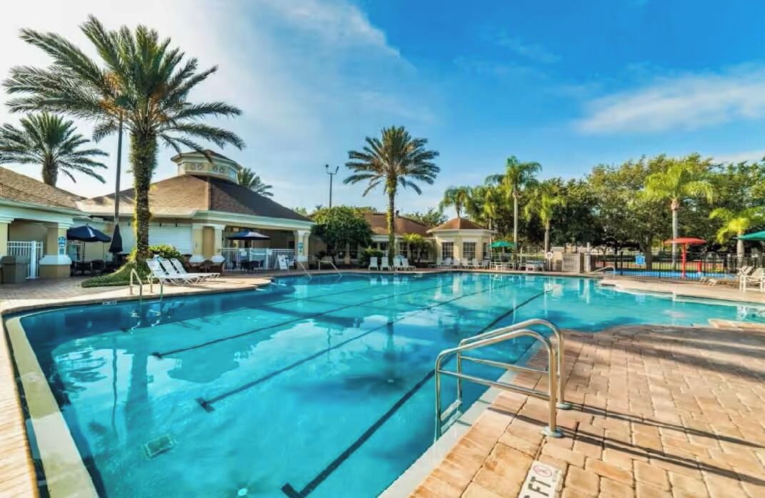 A swimming pool with lounge chairs and palm trees.