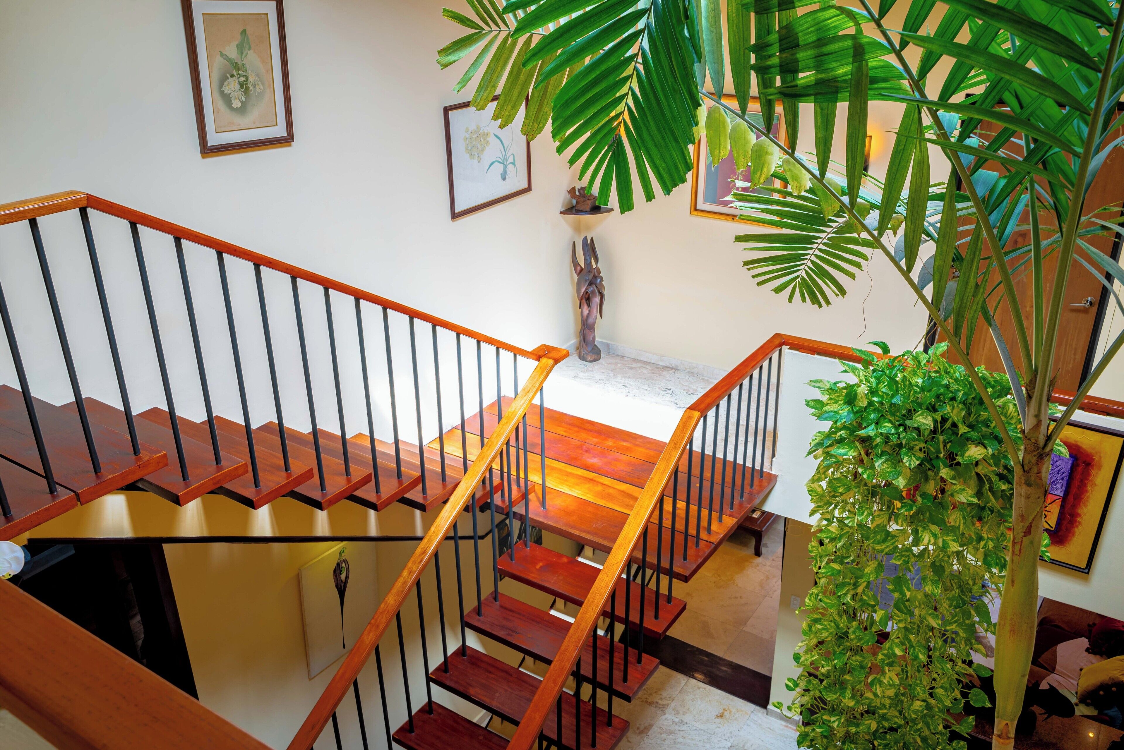 Photo - Casa Orquídea Panamá