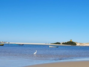 Beach - Long live the Guard! Chalet in the Middle of Nature. (Guarda do Embaú Palhoça)