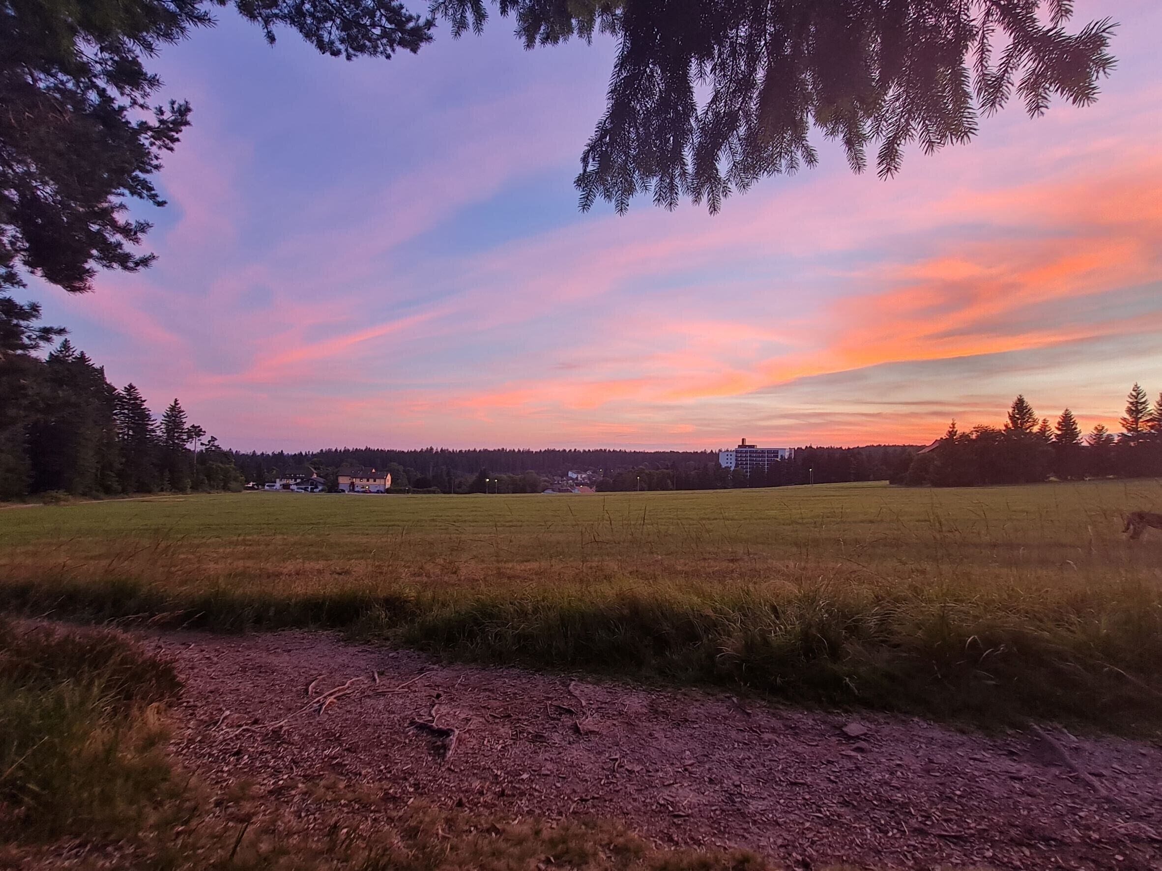 A rural landscape with a field, trees, and a building in the distance.