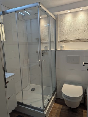 Dusche, Handtücher, Seife, Toilettenpapier
