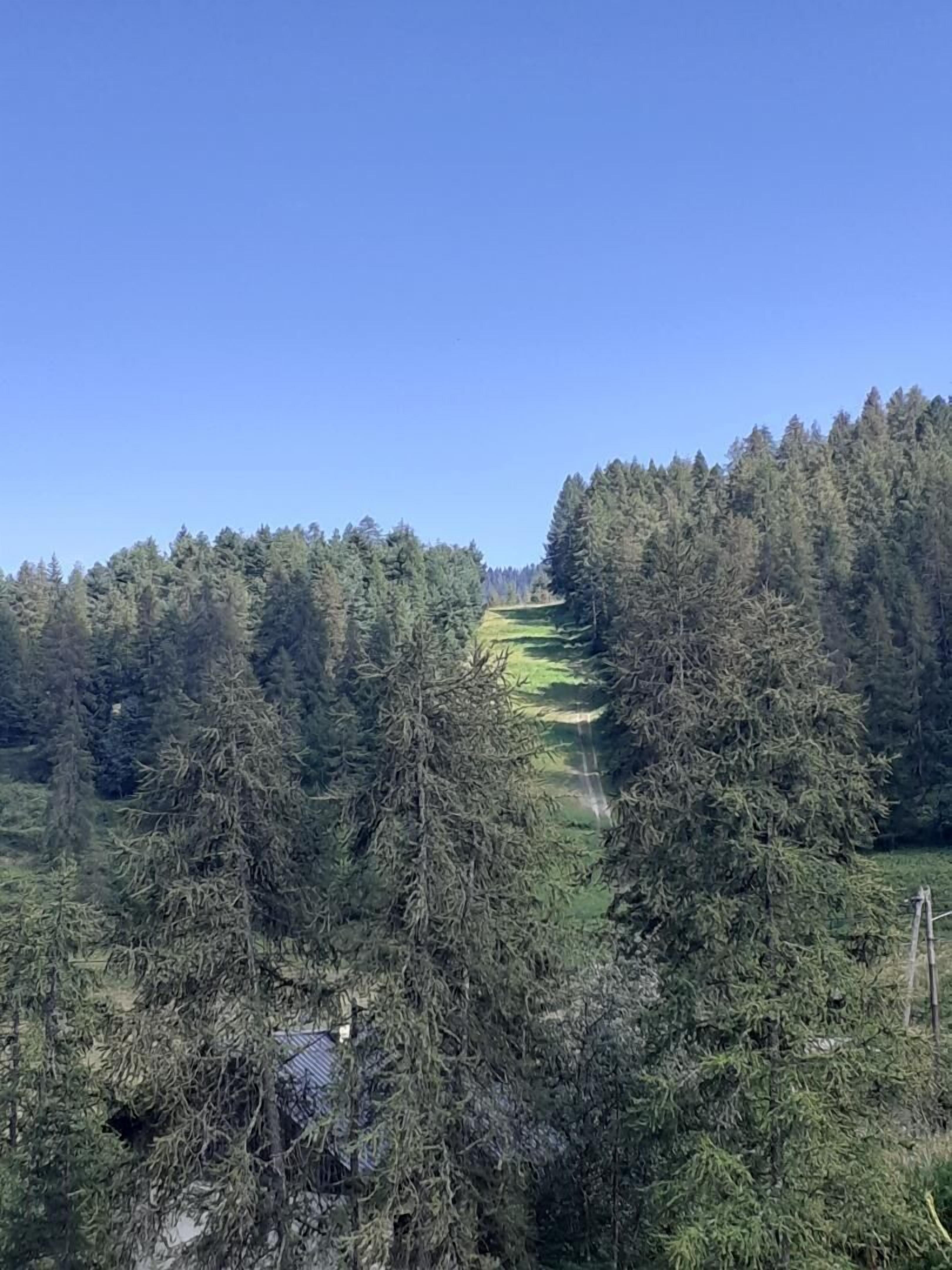 A forested landscape with a clear sky.