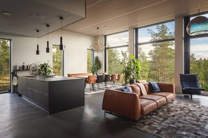 Fernseher, Stereoanlage