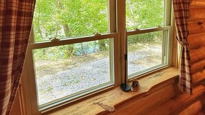 Une pièce avec deux fenêtres, des murs en bois et une vue sur des arbres et un chemin de gravier à l’extérieur.