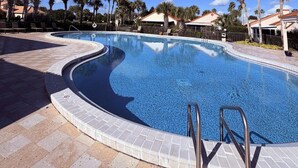 Une piscine d’un bleu éclatant, à bords incurvés, entourée de chaises longues et de palmiers, sous un ciel dégagé.
