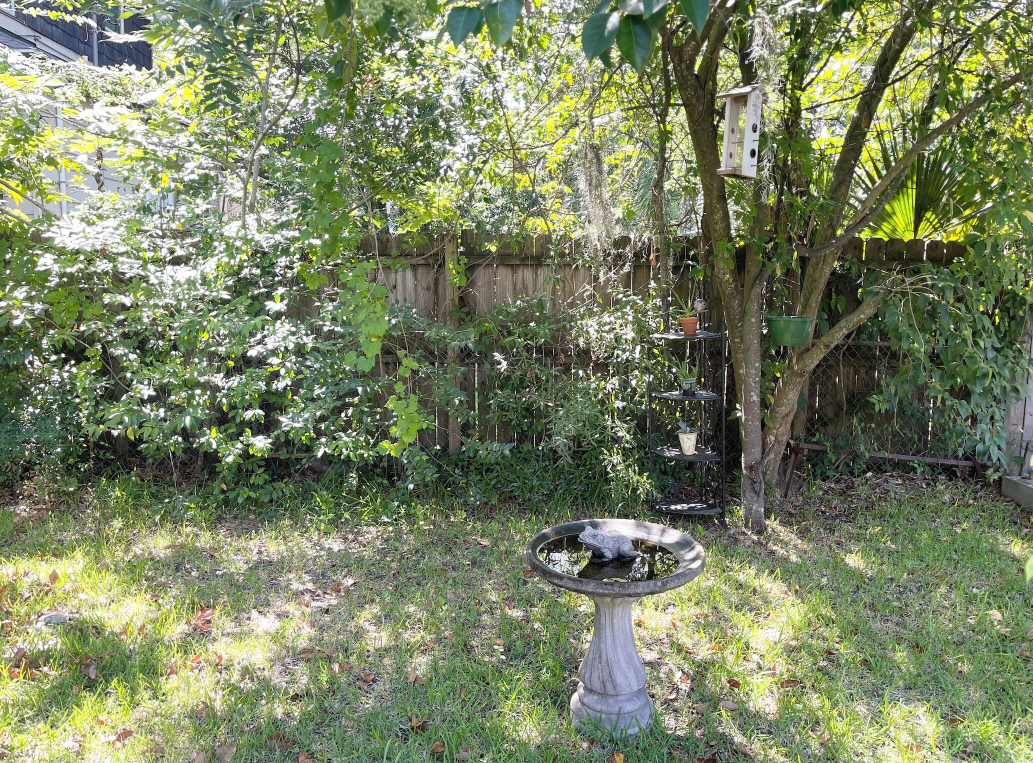 A garden with a birdbath, a wooden fence, and a birdhouse.