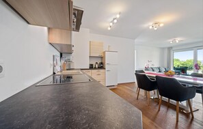 Fridge, microwave, stovetop, dishwasher