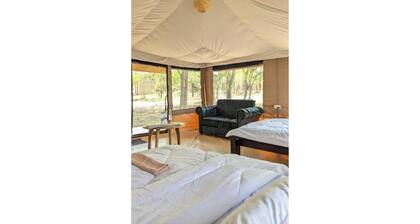 Double G safaris and Camp Mikumi