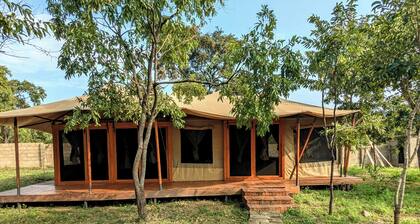 Double G safaris and Camp Mikumi