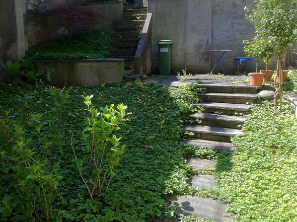 A concrete staircase surrounded by dense green foliage. - Charming Studio in the old town - UZ15 (Zürich)