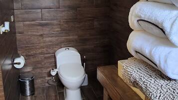 Shower, hair dryer, bidet, towels