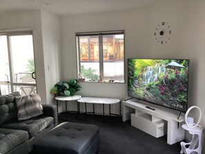 Smart TV - 6a Scotia Place (Auckland)