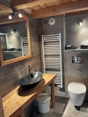 Shower, hair dryer, toilet paper