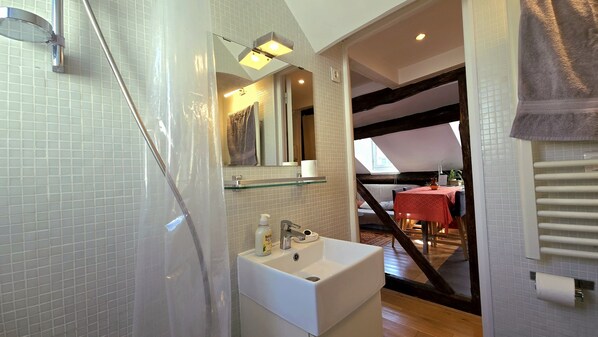 Serviettes fournies, savon, shampoing, papier toilette