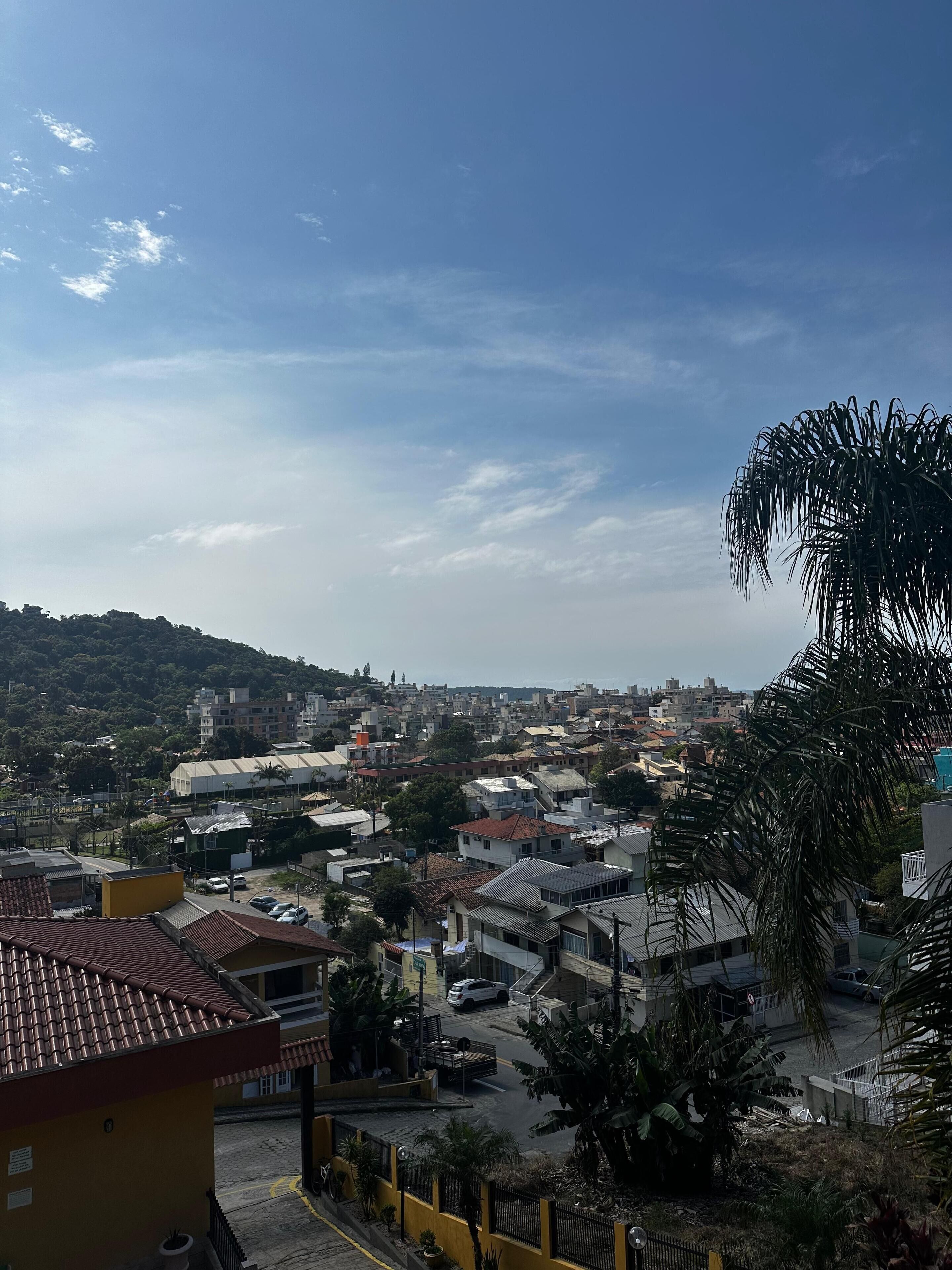 A residential area with houses, a street, and a hill in the background.