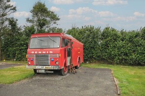 Property grounds - Dashing Dennis - 22 (Launceston)