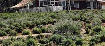 Beautiful Cozy Strawberry AZ. Getaway