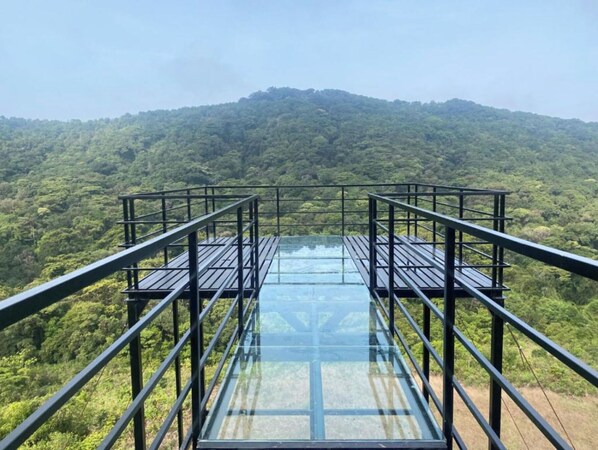 Property grounds - Coorg Tree House Tent (Madikeri)