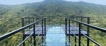 Coorg Tree House Tent