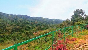 A lush green landscape with a green metal railing in the foreground. - Coorg Tree House Tent (Madikeri)