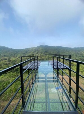 A glass bridge with metal railings, surrounded by lush greenery and hills. - Coorg Tree House (Madikeri)