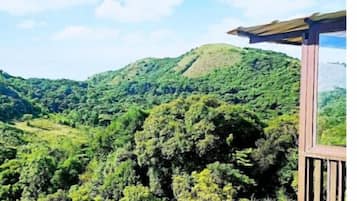 Vistes d'un paisatge verd i exuberant, amb un edifici que té una pèrgola.