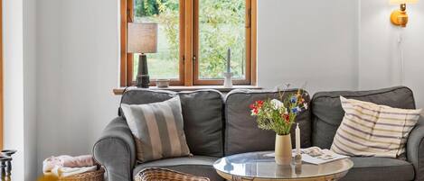 تلفزيون ذكي، مدفأة