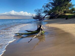 Plage, chaises longues, serviettes de plage