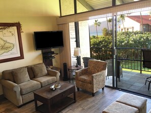 TV connectée, lecteur de DVD, livres, vidéothèque