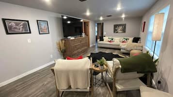 TV, fireplace, books