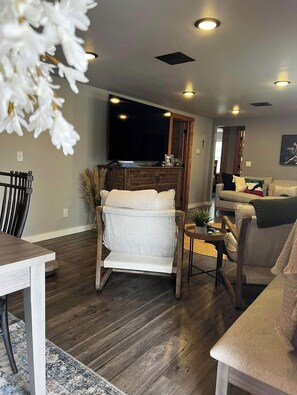 TV, fireplace, books