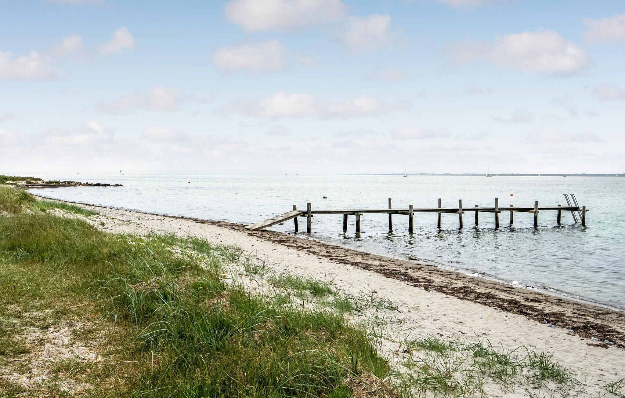 صيد الأسماك