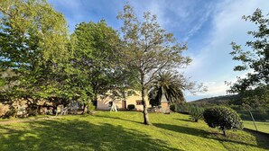 A courtyard with a large tree, a small bush, and a building with a sloped roof. - House located in the Fragas do Eume Natural Park, ideal for families. (Monfero)