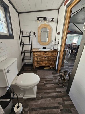 Une salle de bain avec des toilettes blanches, un meuble-lavabo en bois et un miroir.