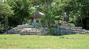 Estructura de piedra con techo de paja, rodeada de exuberante vegetación y palmeras.