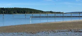 Historic Downtown Oak Harbor Beach getaway#1