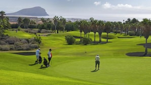 Un terrain de golf avec des joueurs, des palmiers et une montagne en arrière-plan.