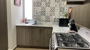 Private kitchen - RINCON DE MONTE ALBAN OAXACA 2B2B pet friendly (Oaxaca)