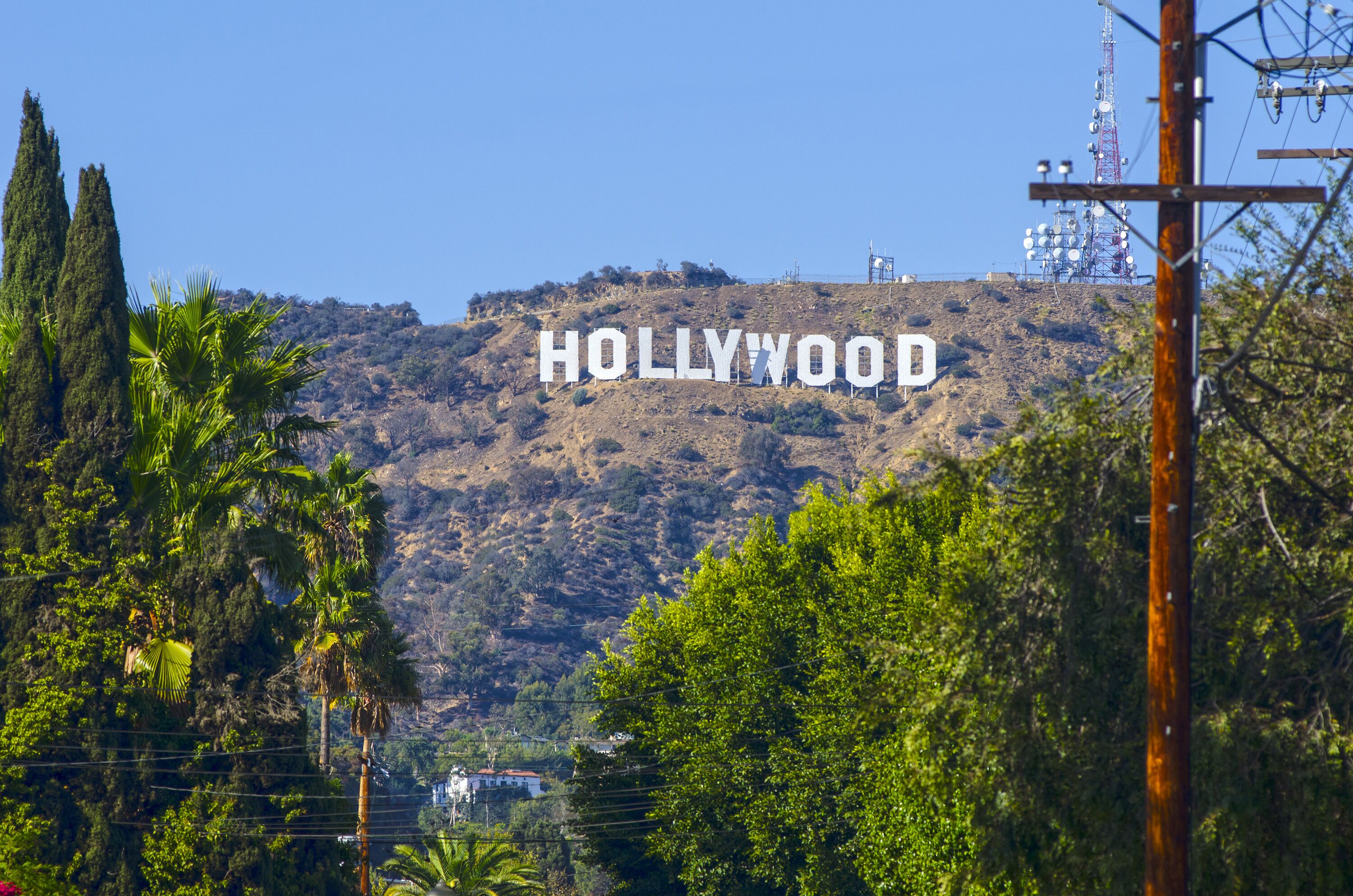 Het Hollywood-bord op een heuvel, met bomen op de voorgrond.