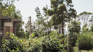 A residential area with a house, dense greenery, and tall trees. - Awesome apartment in Capaccio Paestum with WiFi (Capaccio Paestum)